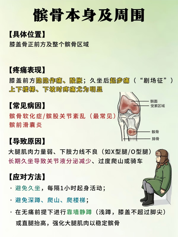 运动护具