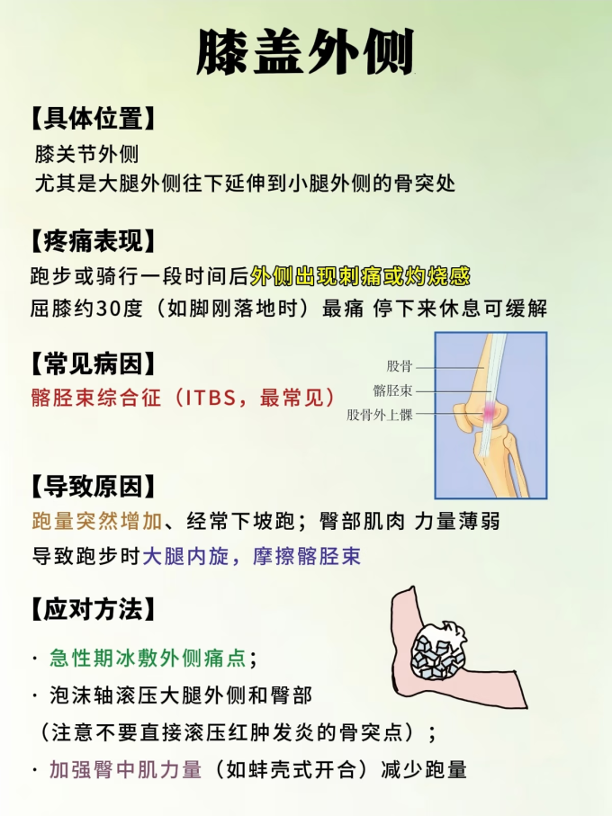 运动护具