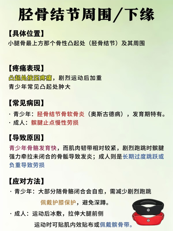 运动护具
