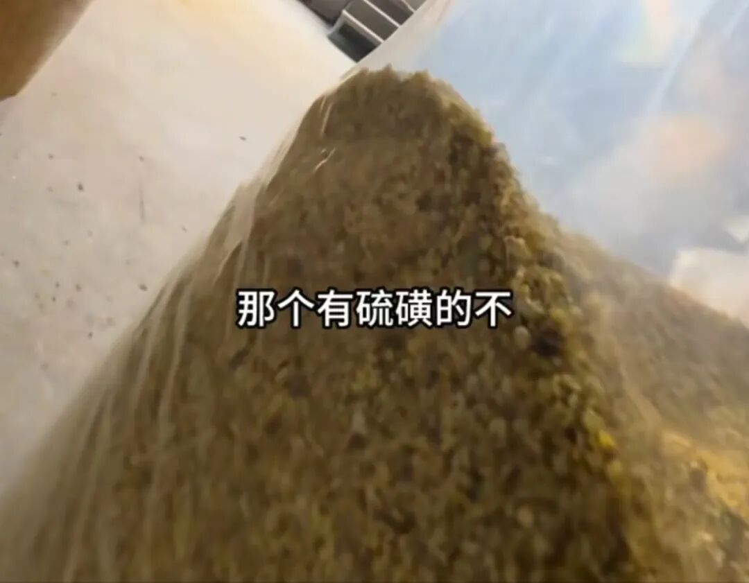 600元一斤的桂花,熏出来只卖100多:阳朔通报,熏硫属实