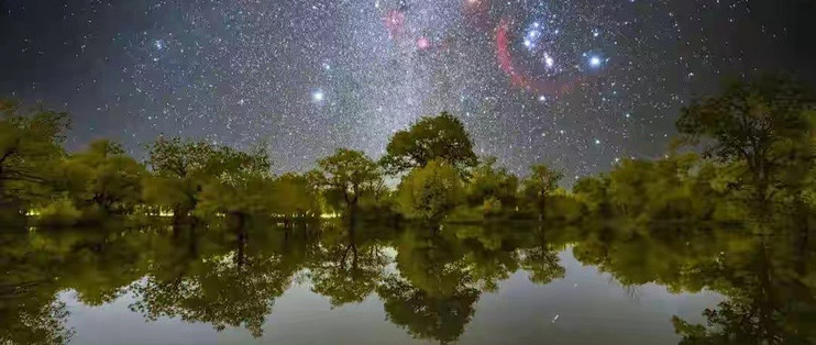 给不健身的父母挑蛋白粉，我比较了六款的配料和包装
