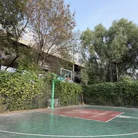 库里罚球稳到100%命中率，他的训练方法普通人能学吗