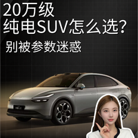 20万选纯电SUV，看懂这几点不吃亏