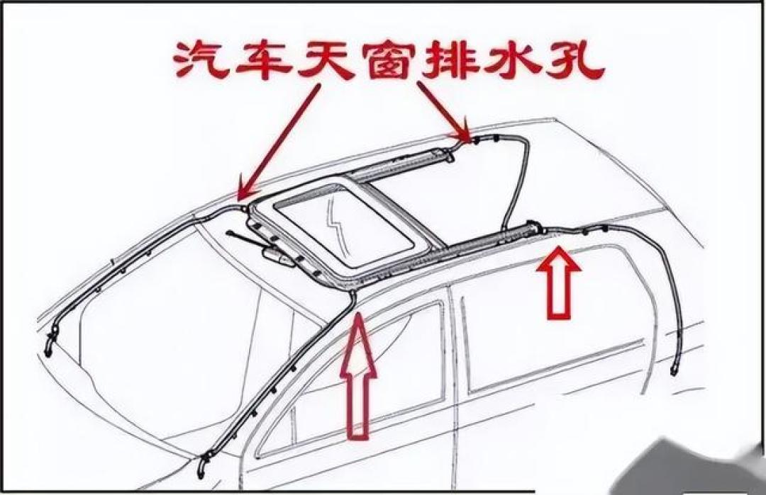 落叶季到了，你车的排水孔清了没？