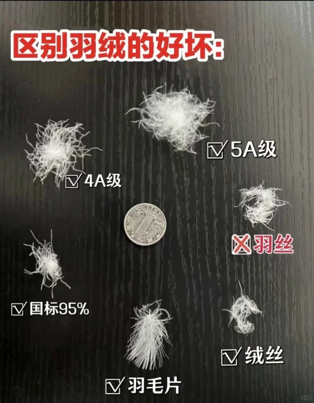 骆驼一百多、迪卡侬两百内:双11的便宜羽绒服,装的是绒吗?