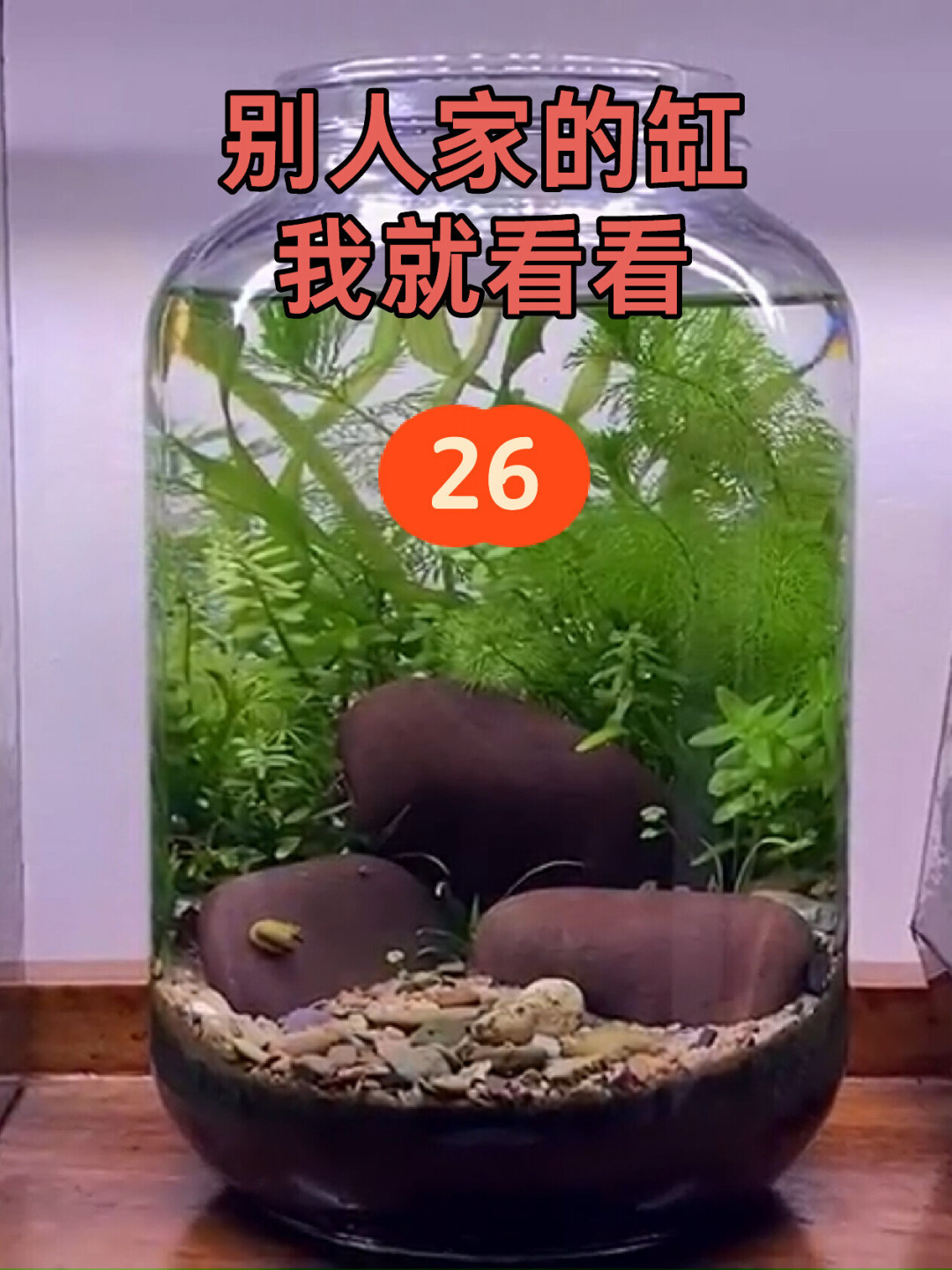 107万人围观
