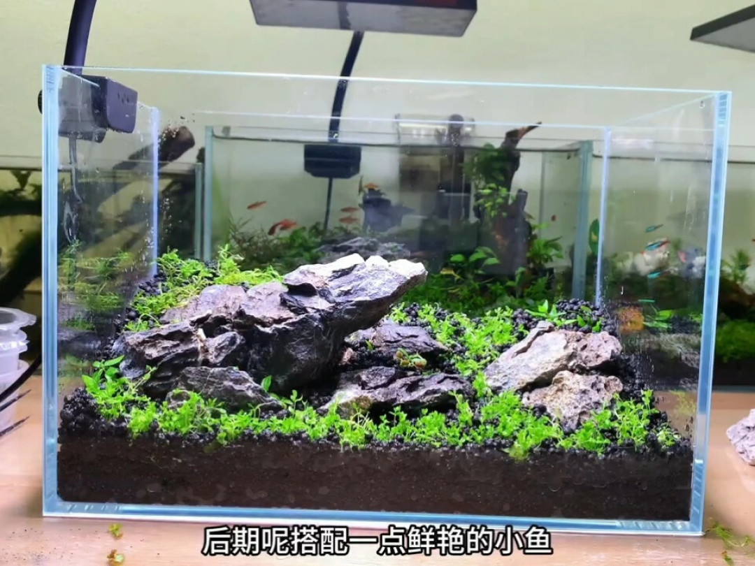 107万人围观