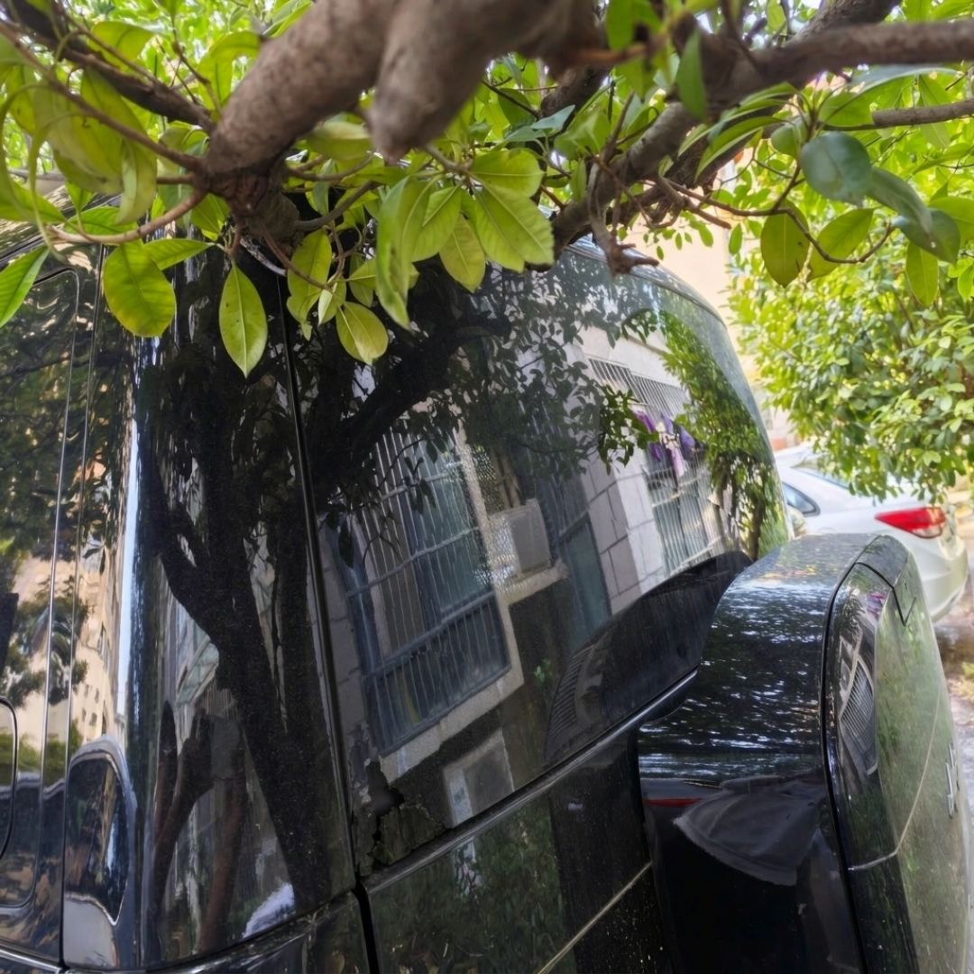 人下车，车自己停，剐了算谁的？两项泊车强标来给答案
