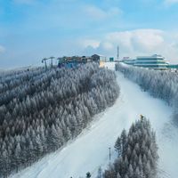 雪季开板撞上双11：第一次滑雪，先买的不是雪板，是这6样