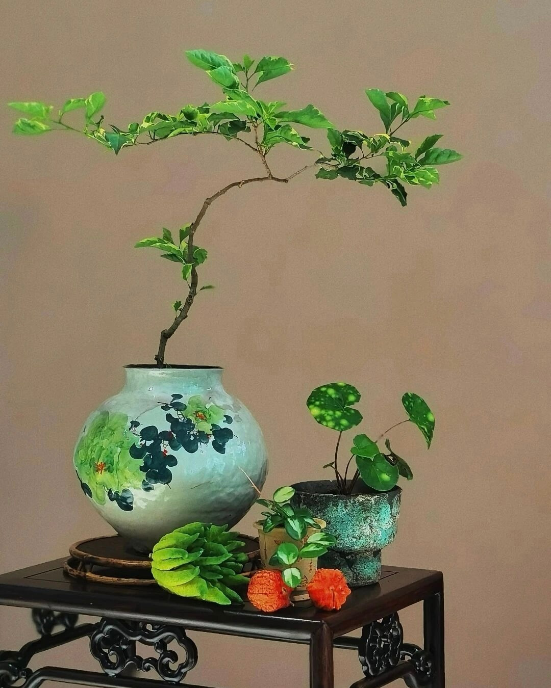 茶艺里最好看的动作，多半不负责好喝
