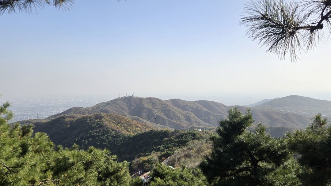 香山红叶节开幕一周,全园只红了两成:红叶不按日历红
