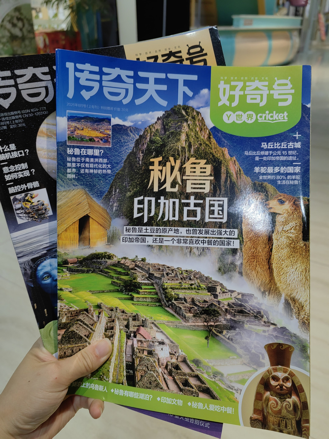 好奇号27年订:单订蹲不到91,组合跌破300,今年的好价在哪?