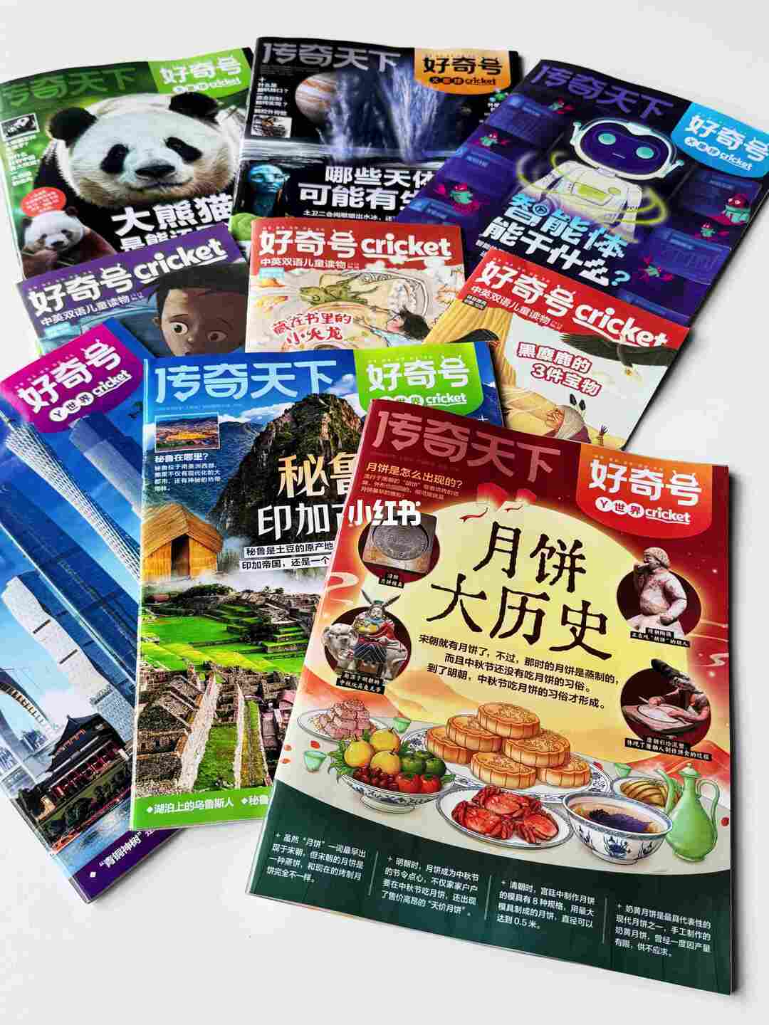 别急着骂娃只读好奇号的中文，那沓英文册子其实是颗缓释胶囊