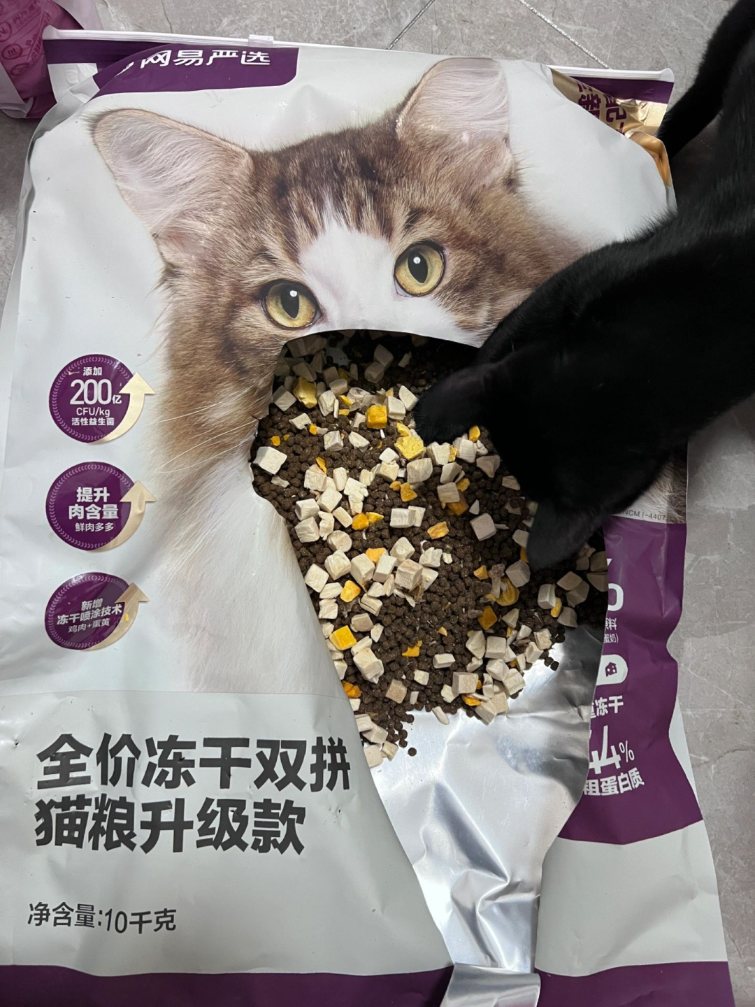 囤回家的双11猫粮:先别急着收进柜子,看懂开封后的45天倒计时