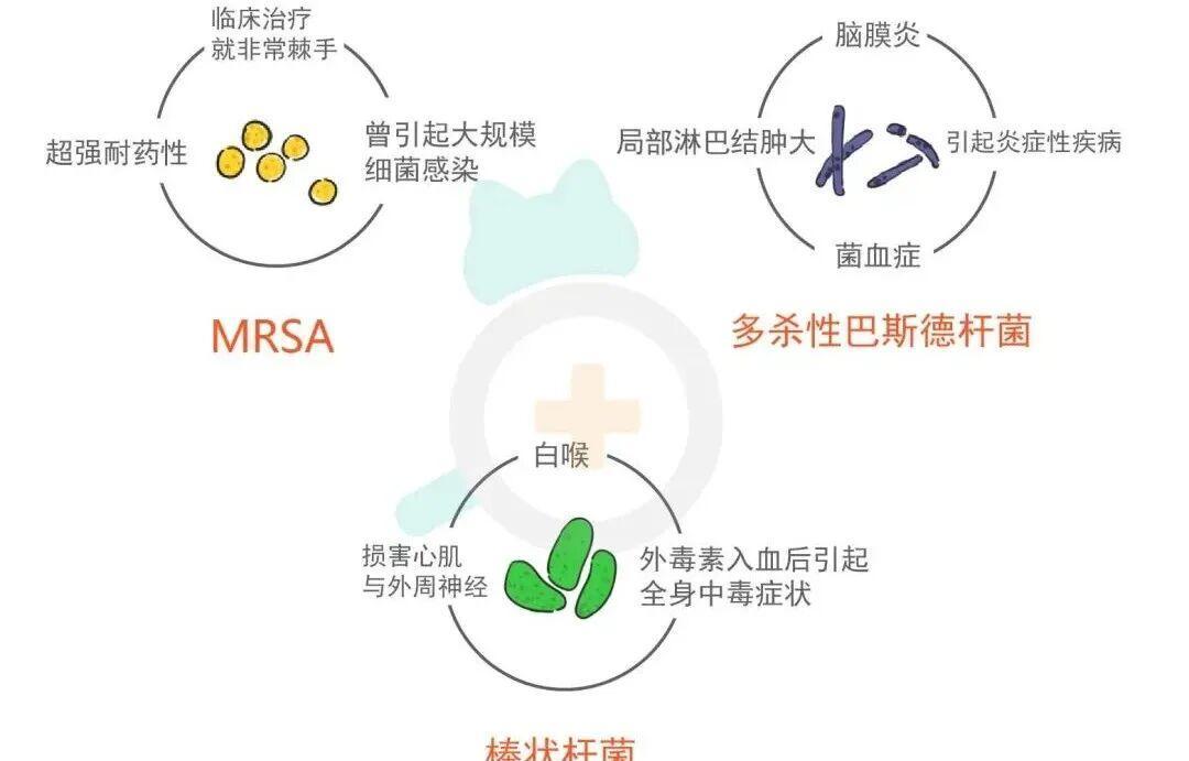 囤回家的双11猫粮:先别急着收进柜子,看懂开封后的45天倒计时