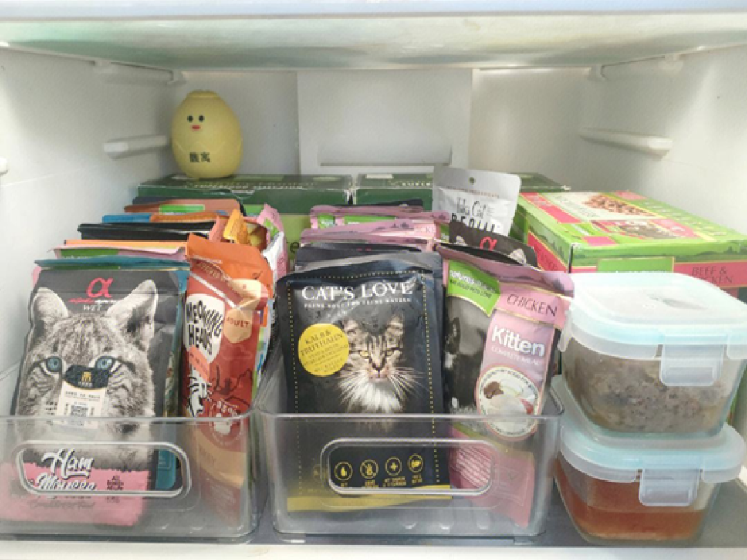 囤回家的双11猫粮:先别急着收进柜子,看懂开封后的45天倒计时
