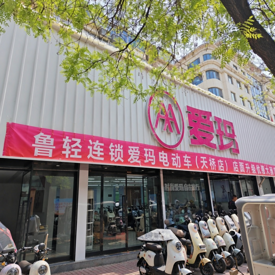 电动车国补退场,地方还能补几百:双11换车先查这一项