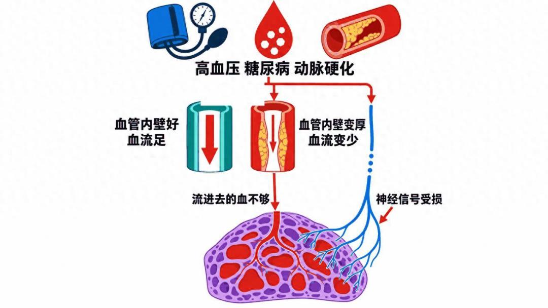 美国调查里75到85岁还有26%在过性生活，中国掉得最快的却是36到45岁：性不是按年龄关掉的