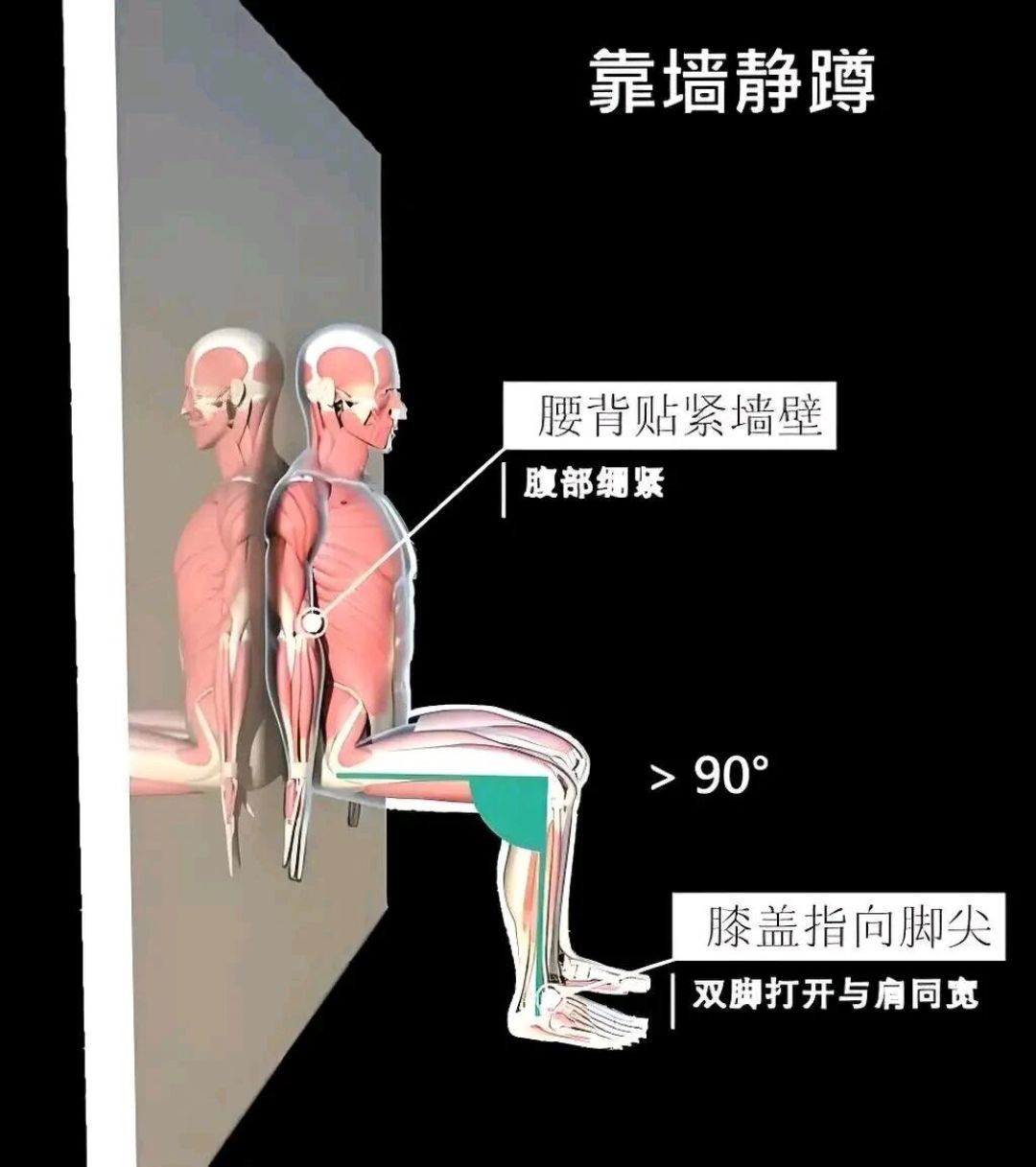 45岁腿变细不是瘦:小腿围低于34cm,卫健委喊你存肌肉