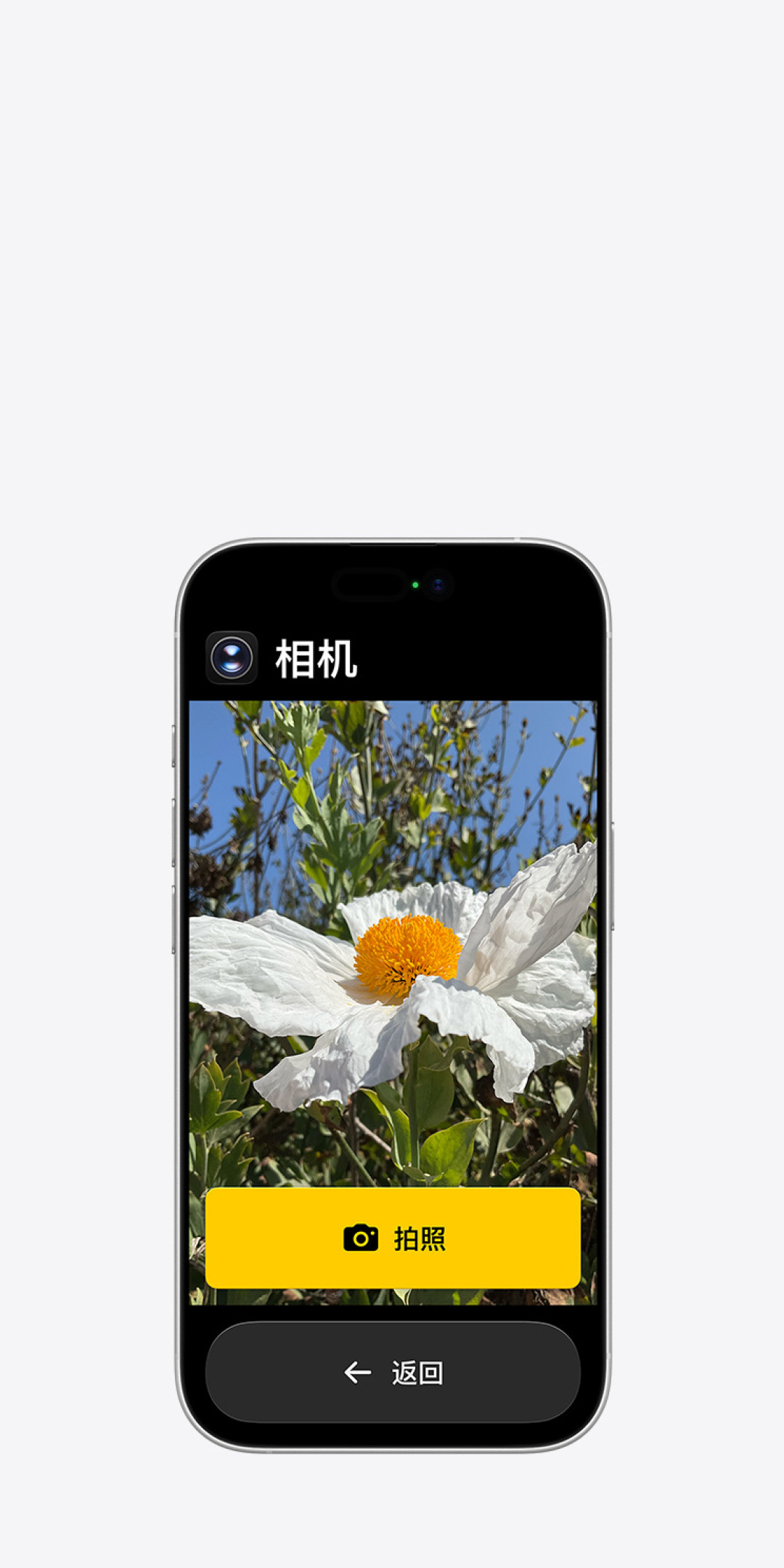 给爸妈买手机，比「选苹果还是安卓」更要紧的，是这十五分钟