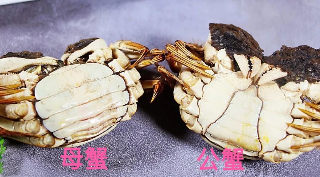 蟹黄稀得像蛋花汤,先别急着倒
