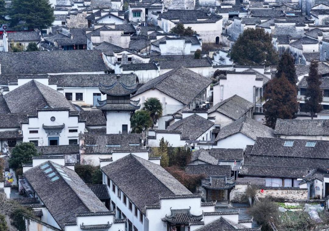 秋假挤爆了11月：门票免了，酒店贵了