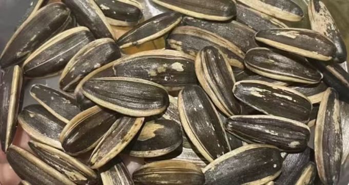 三只松鼠瓜子
