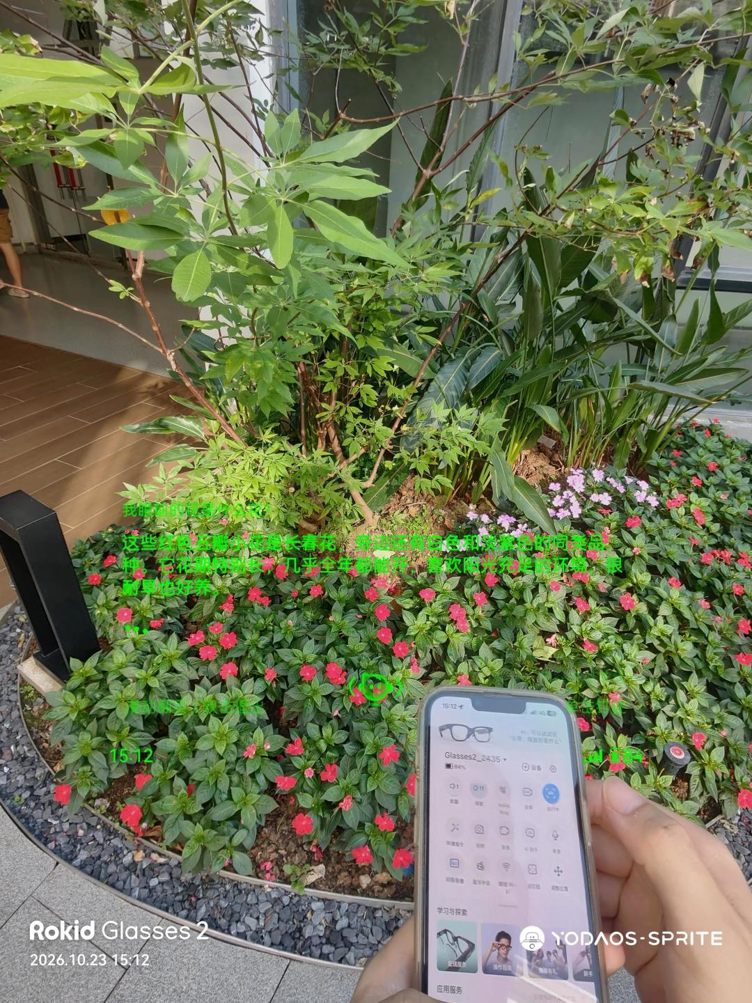 带两副3000元的AI眼镜去泰国6天,最好用的不是翻译