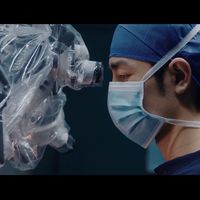 21集还隔着一道门：10月的国产剧，把“慢”做成了生意
