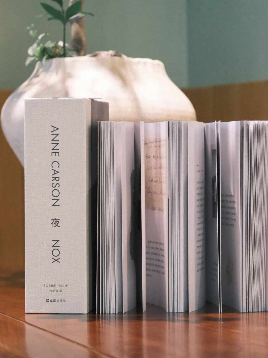 她拿诺奖那天在冰岛扫地:读安妮·卡森,先别急着把她补完整