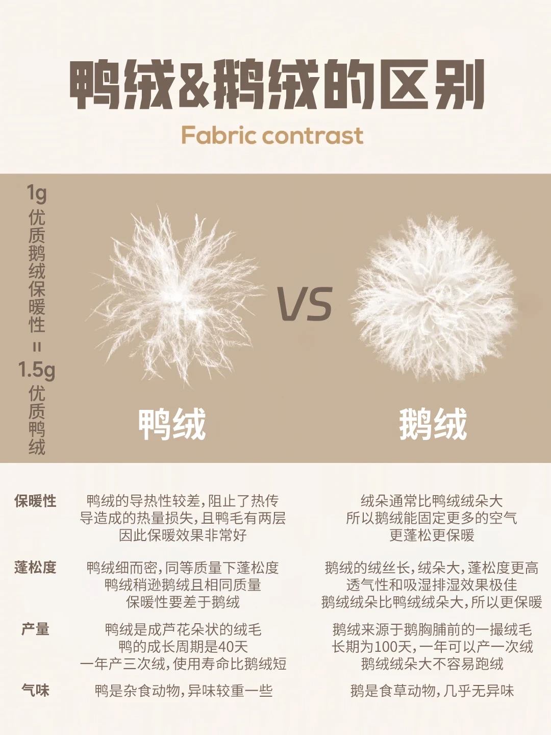 鹅绒比鸭绒贵几百块，到底暖在哪？双11蹲好价前，先拆了这笔「鹅绒税」再下单