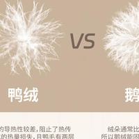 鹅绒比鸭绒贵几百块，到底暖在哪？双11蹲好价前，先拆了这笔「鹅绒税」再下单