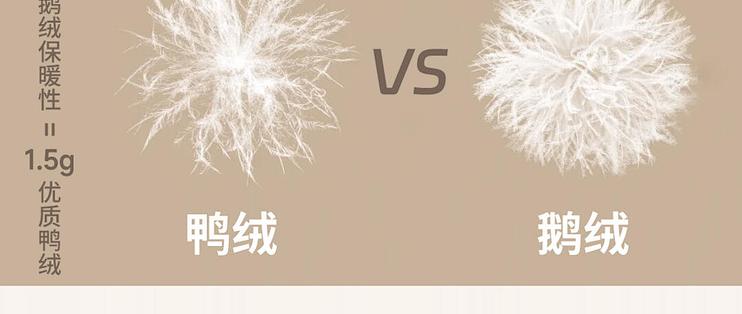 鹅绒比鸭绒贵几百块，到底暖在哪？双11蹲好价前，先拆了这笔「鹅绒税」再下单