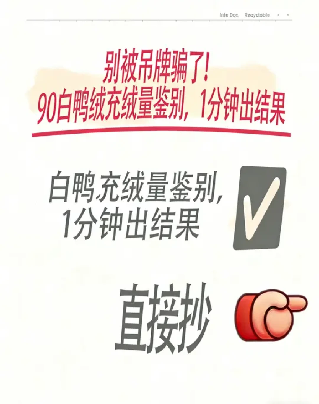 鹅绒比鸭绒贵几百块，到底暖在哪？双11蹲好价前，先拆了这笔「鹅绒税」再下单