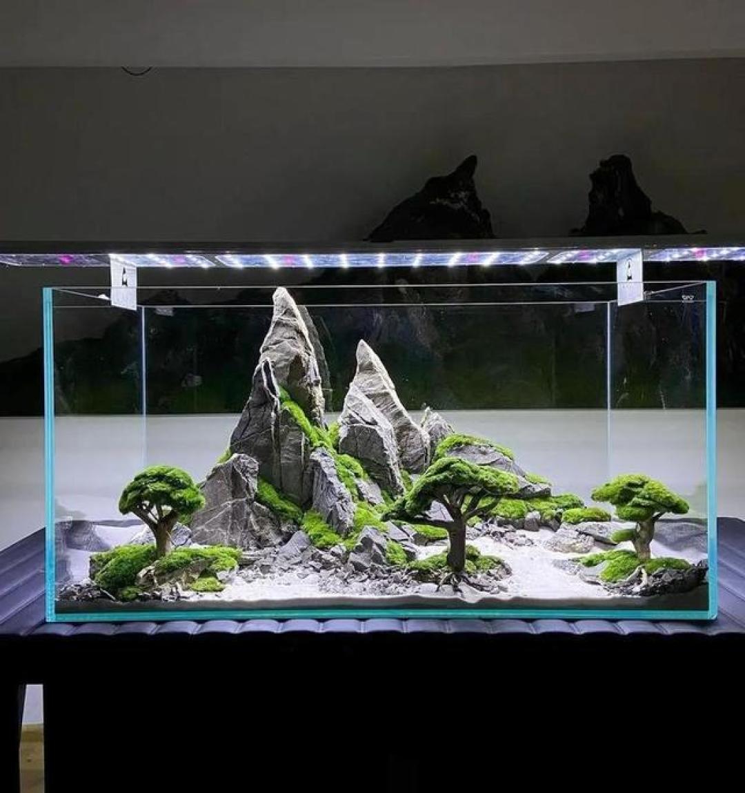 鱼缸一黄,有人买蛋白棉,有人去捡烂树叶