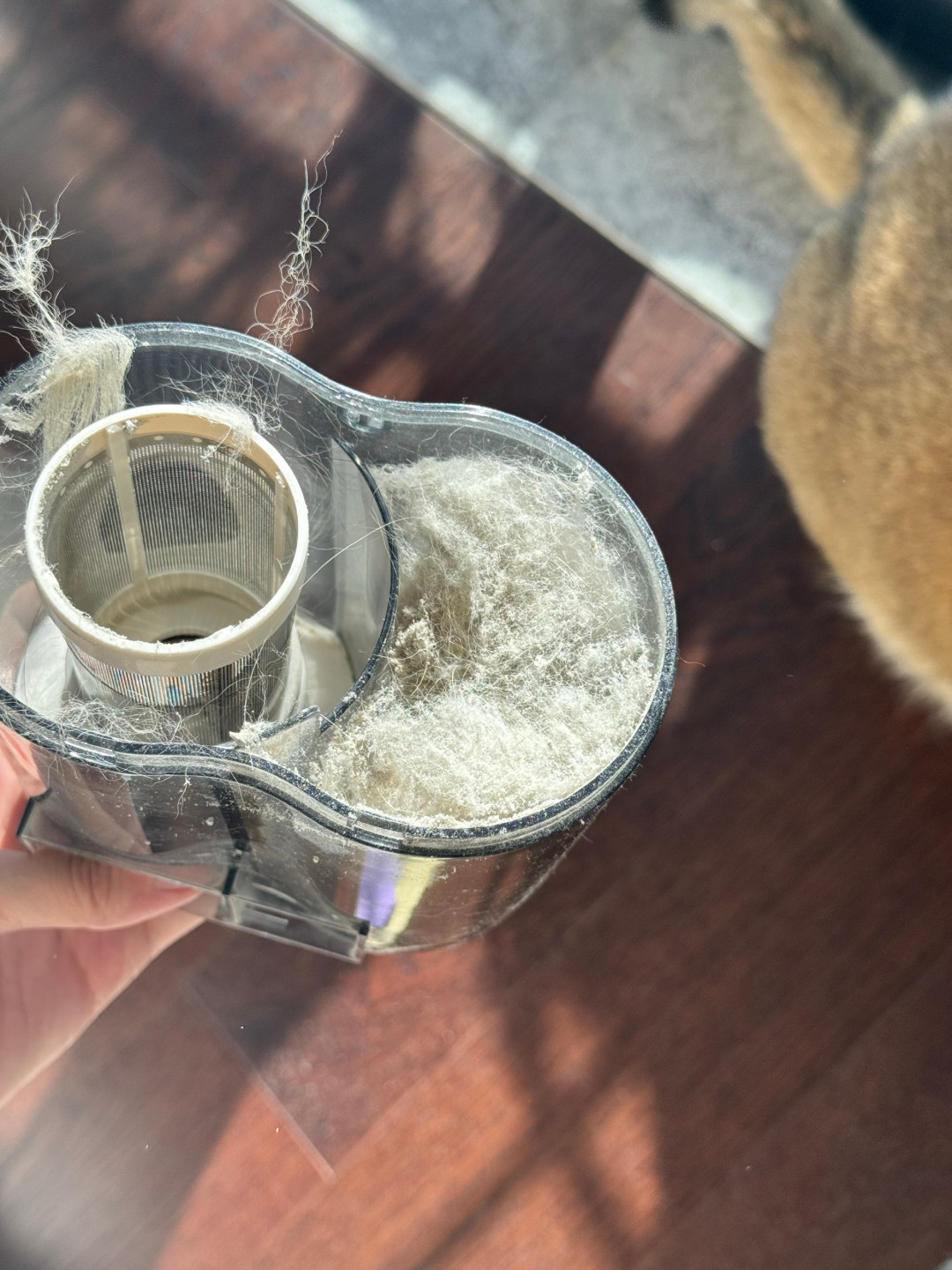 除螨仪吸出半杯白粉，多半不是螨虫：它真正管用的地方，是床垫那层洗不了、晒不透的灰