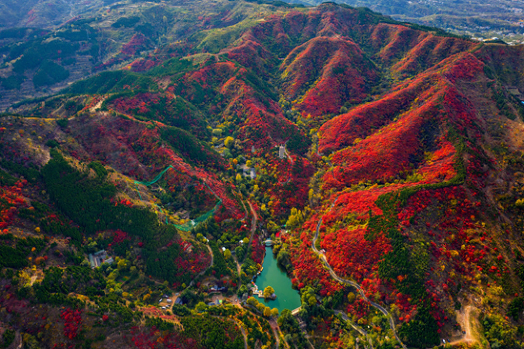 香山变色率20%,坡峰岭已100%:秋天不是全国统一上映,是分海拔排队
