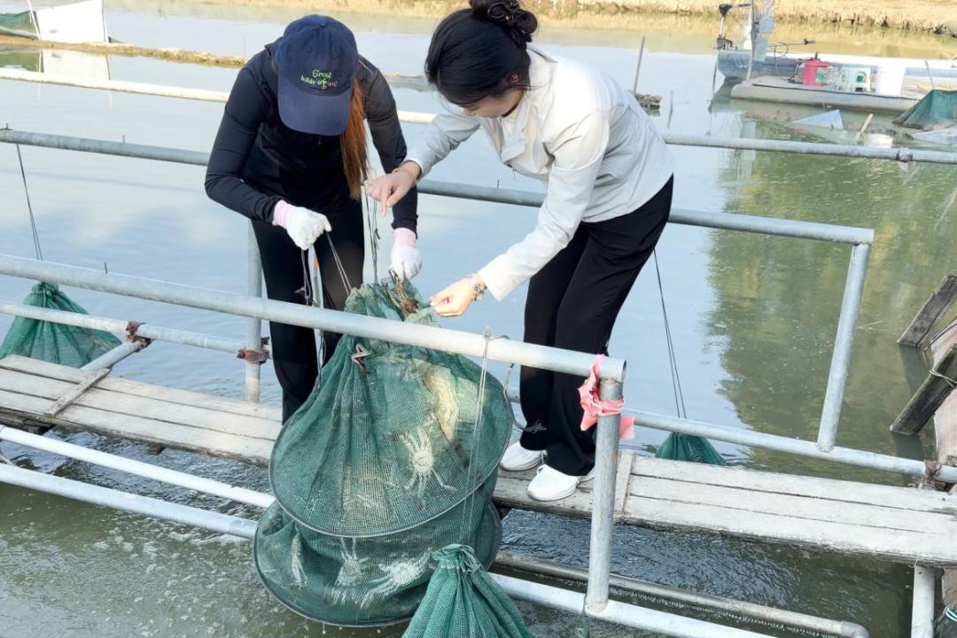 5元一只和30元一只都叫大闸蟹：今年买蟹，先分清「普货」和「精品」