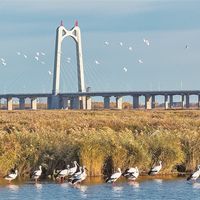 第一次观鸟，先别买长焦：八倍镜、野一点的公园，和一条不打扰的规矩