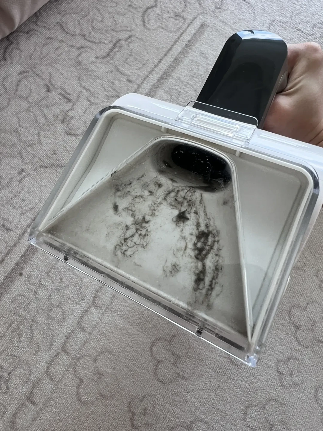 洗沙发洗出半桶黑水？双11买布艺清洗机前，先过干不干、用不用得勤这两关