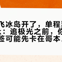 首条直飞冰岛开了，单程票价杀到2.5k：追极光之前，你的单次申根签可能先卡在哥本哈根