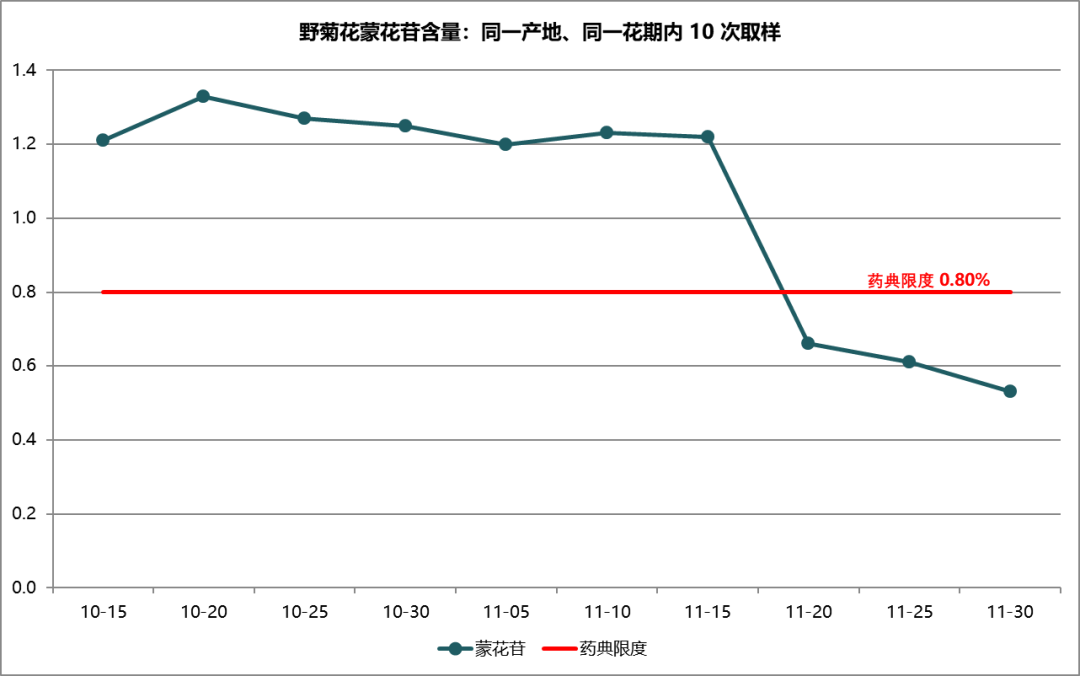 贡菊正在花期,双11的20元/斤胎菊比160的批发参考价还低:入冬这锅菊花茶,先把6个名字、2把价尺、4步验收弄清楚