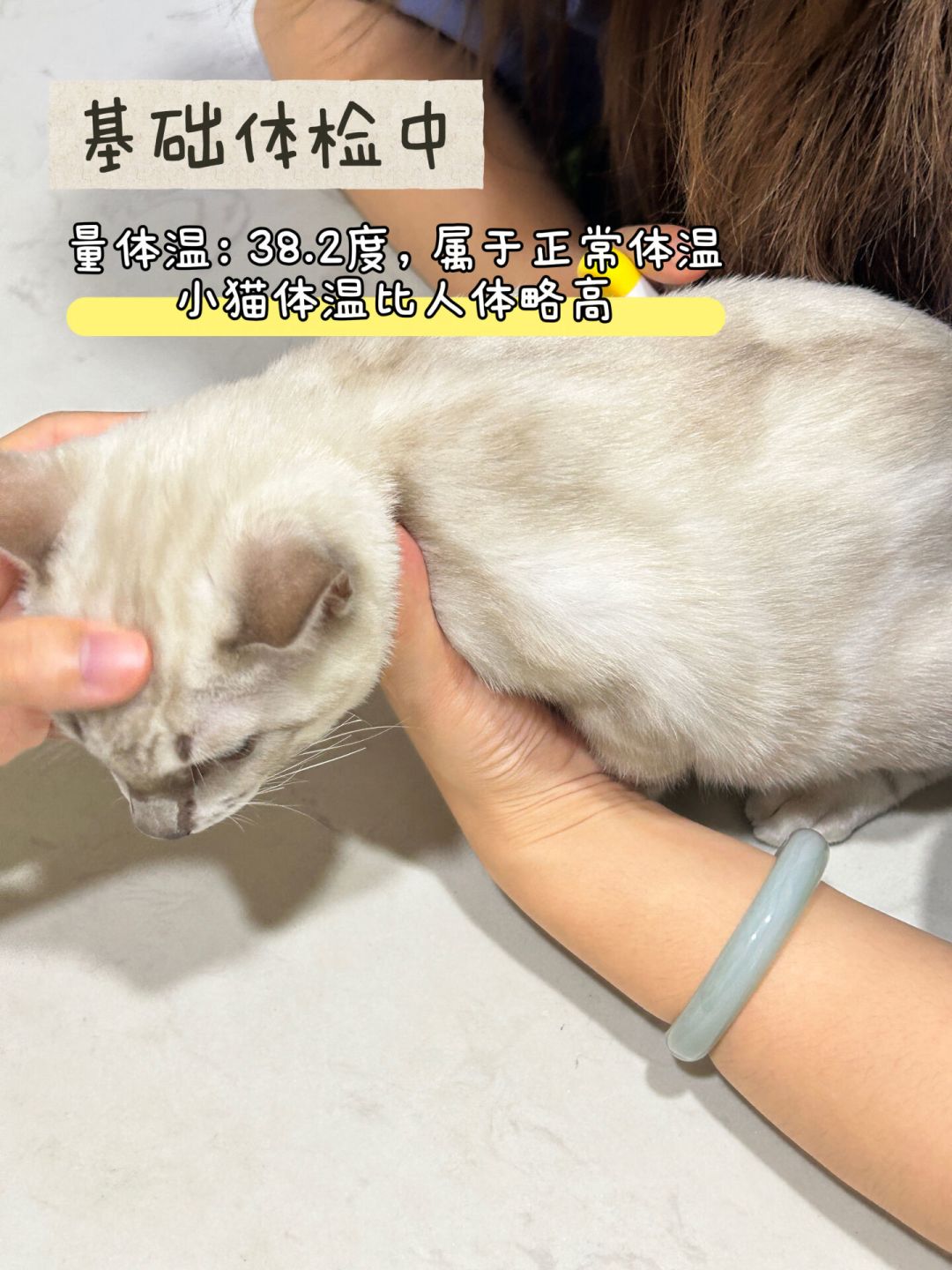双11