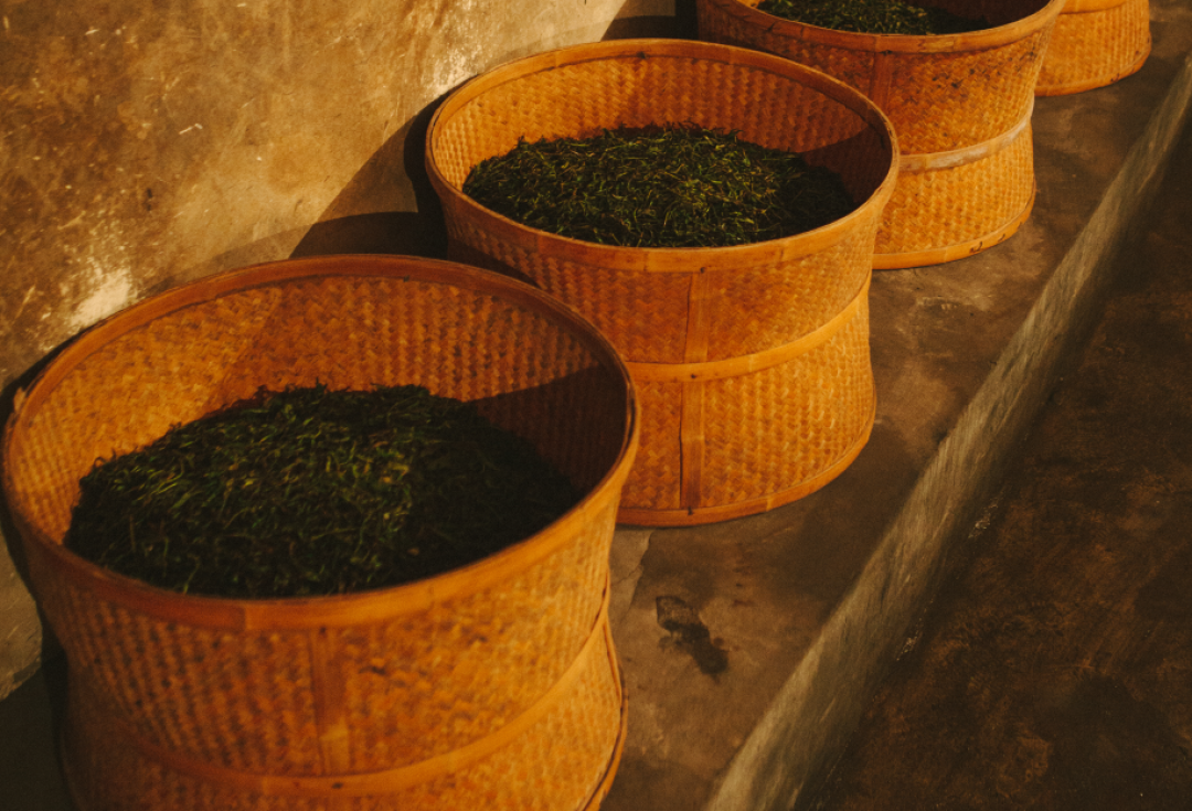 店里喝着香,回家一泡就锁喉?你的岩茶只是还没