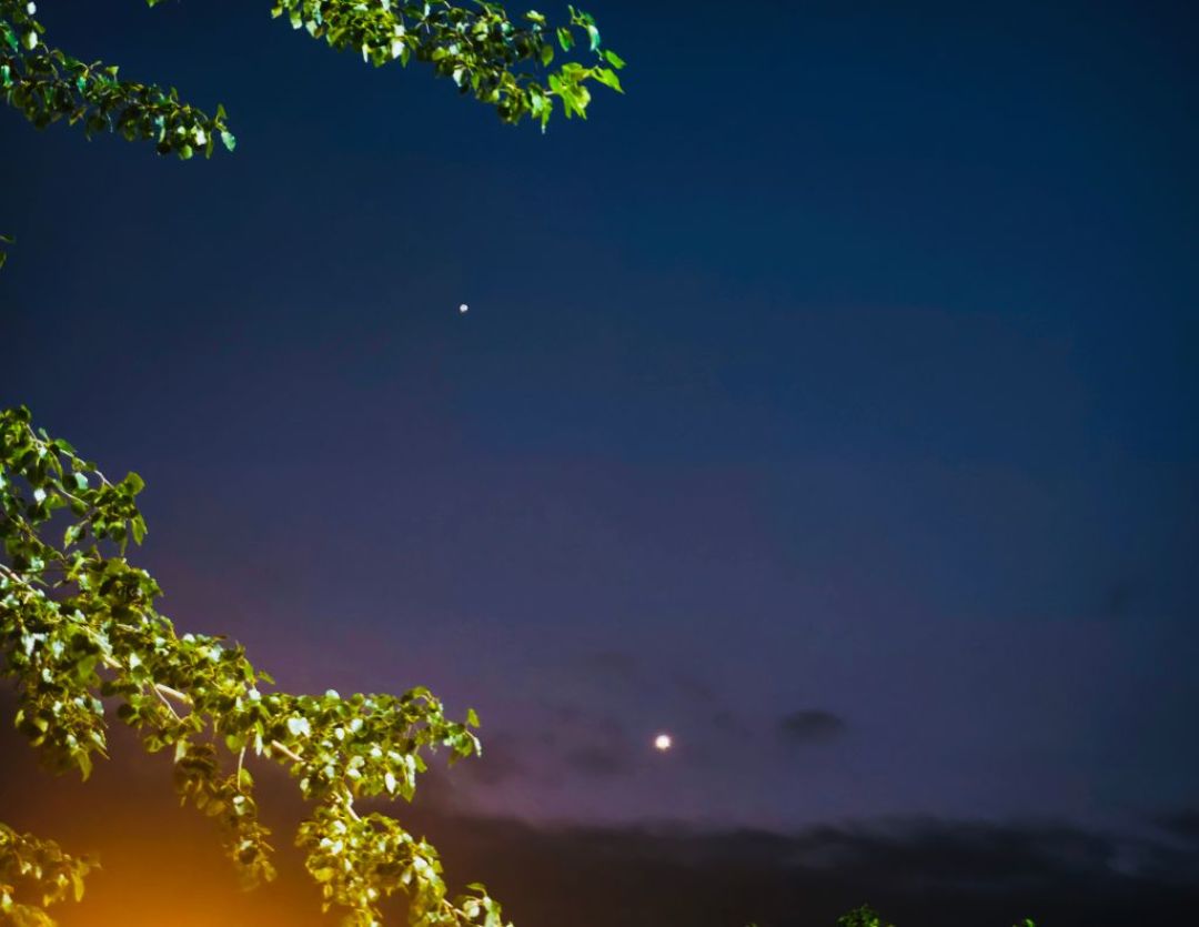 双11的望远镜快到了:第一周怎么过,决定看到的是土星环还是灰