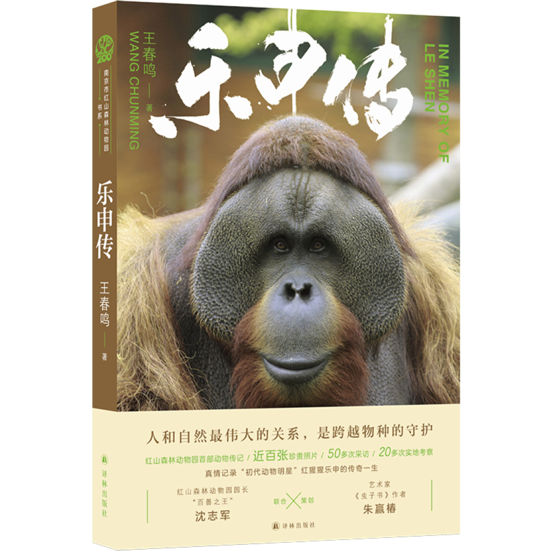给一只红猩猩立传:它走后七年,南京还在想它