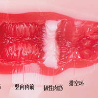 NPG名器证明上的女优脸，不等于真人倒模：买之前先看这三个参数