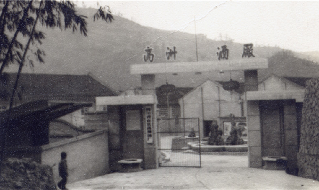 把高洲的24条测评摆完:高度线一边倒夸,口粮线一边倒喷,广告词已经跨平台刷屏