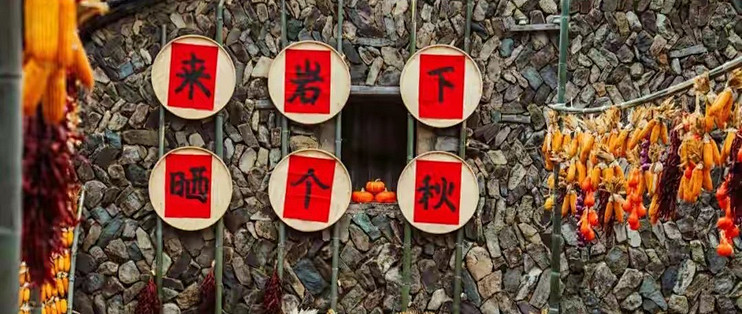 驼奶粉选购：看配料与执行标准