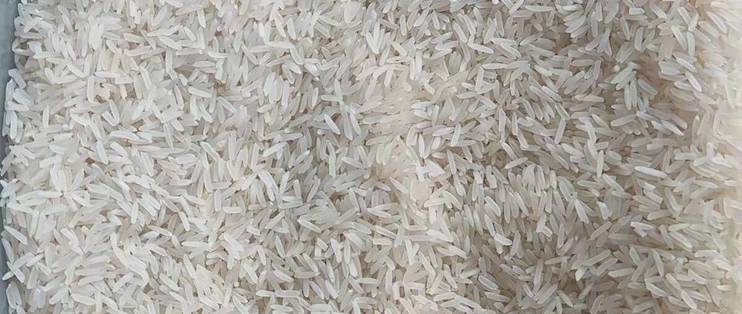 来自鄱阳湖生态产区的汇谷稼永修香米🌾
